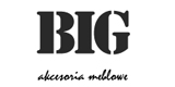 Logo BIG